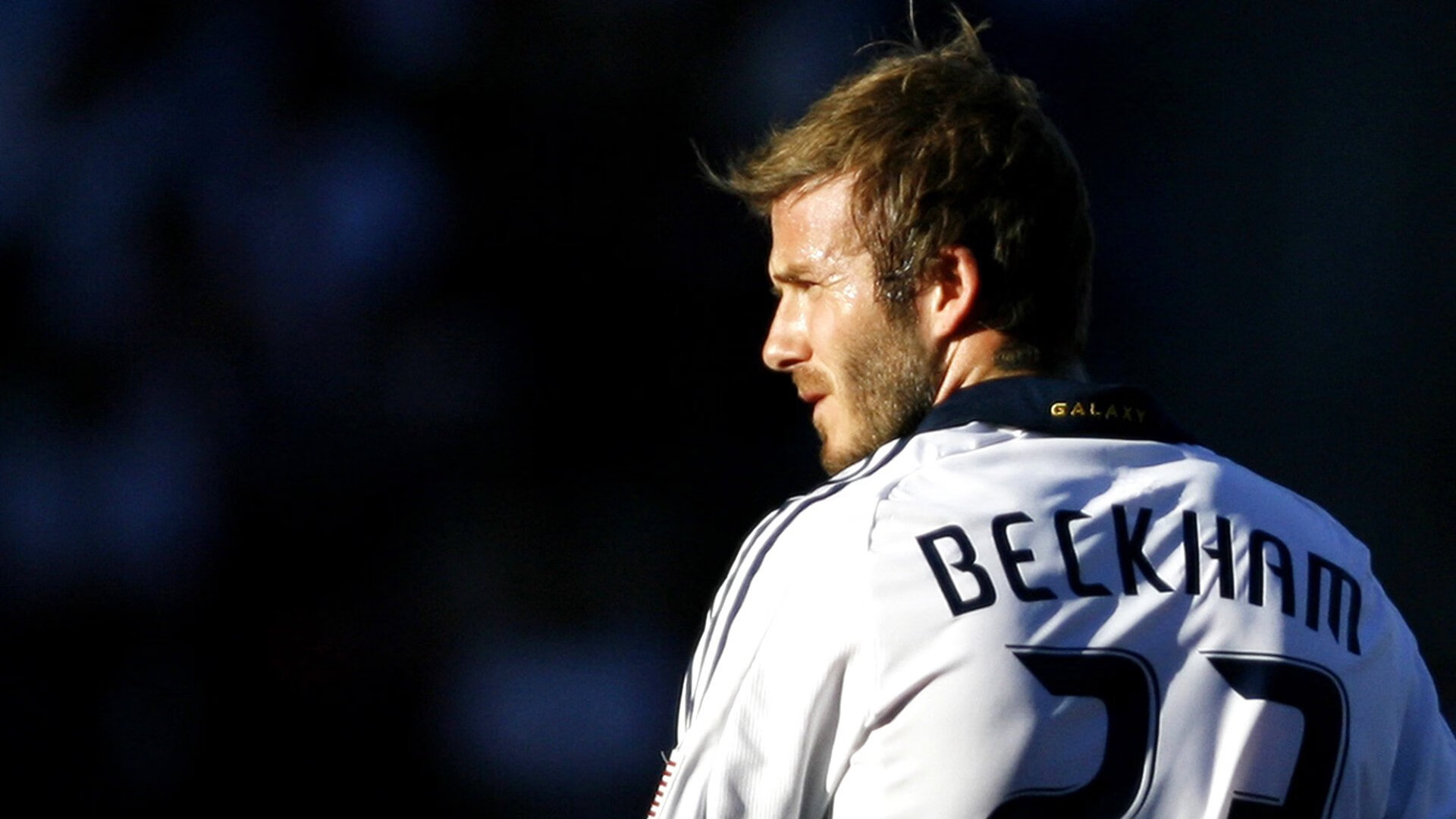 2026世界杯官方旅游路线揭晓，场馆巡游成为新体验，2026世界杯场地