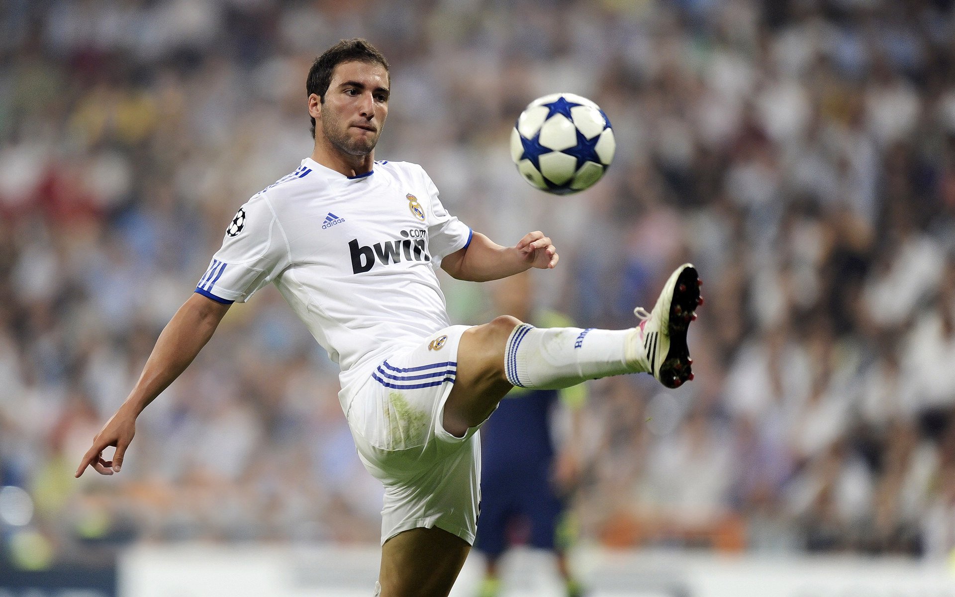 斯滕伯根100米自由泳决赛表现无懈可击，斯科特100米自由泳